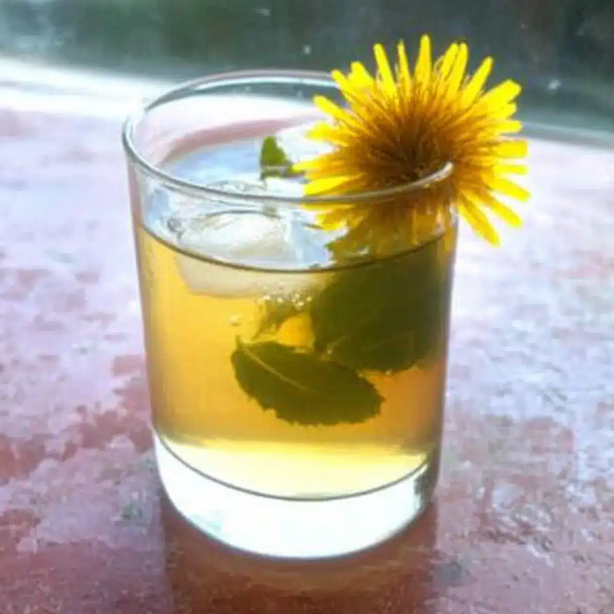 Dandelion Iced Tea